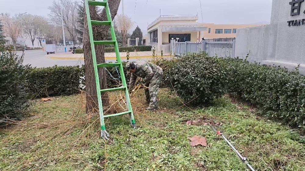 公用事業(yè)公司積極開(kāi)展樹(shù)木修剪、雜草清理工作